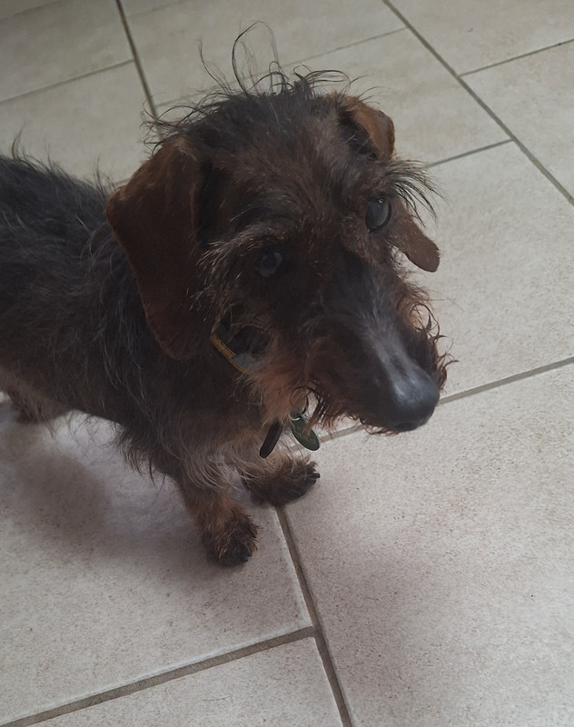 [Image: 20250415-101427.jpg]