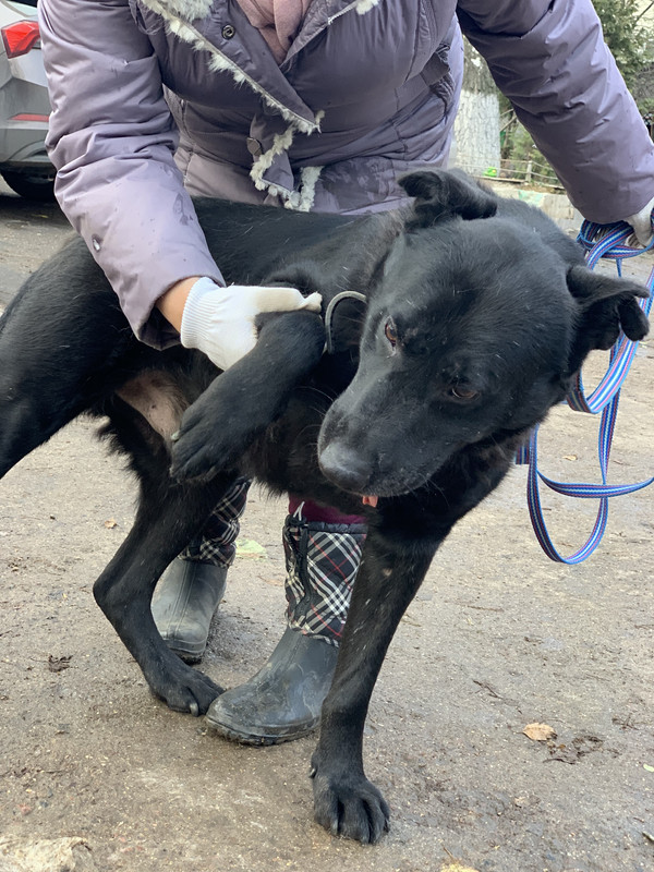 8BF11A10-6163-4BC6-BD48-77834FDFE1D7