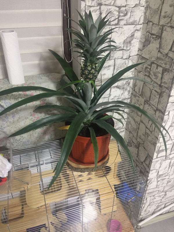 EF824FF5-2236-4762-BFCD-22FF82A72153