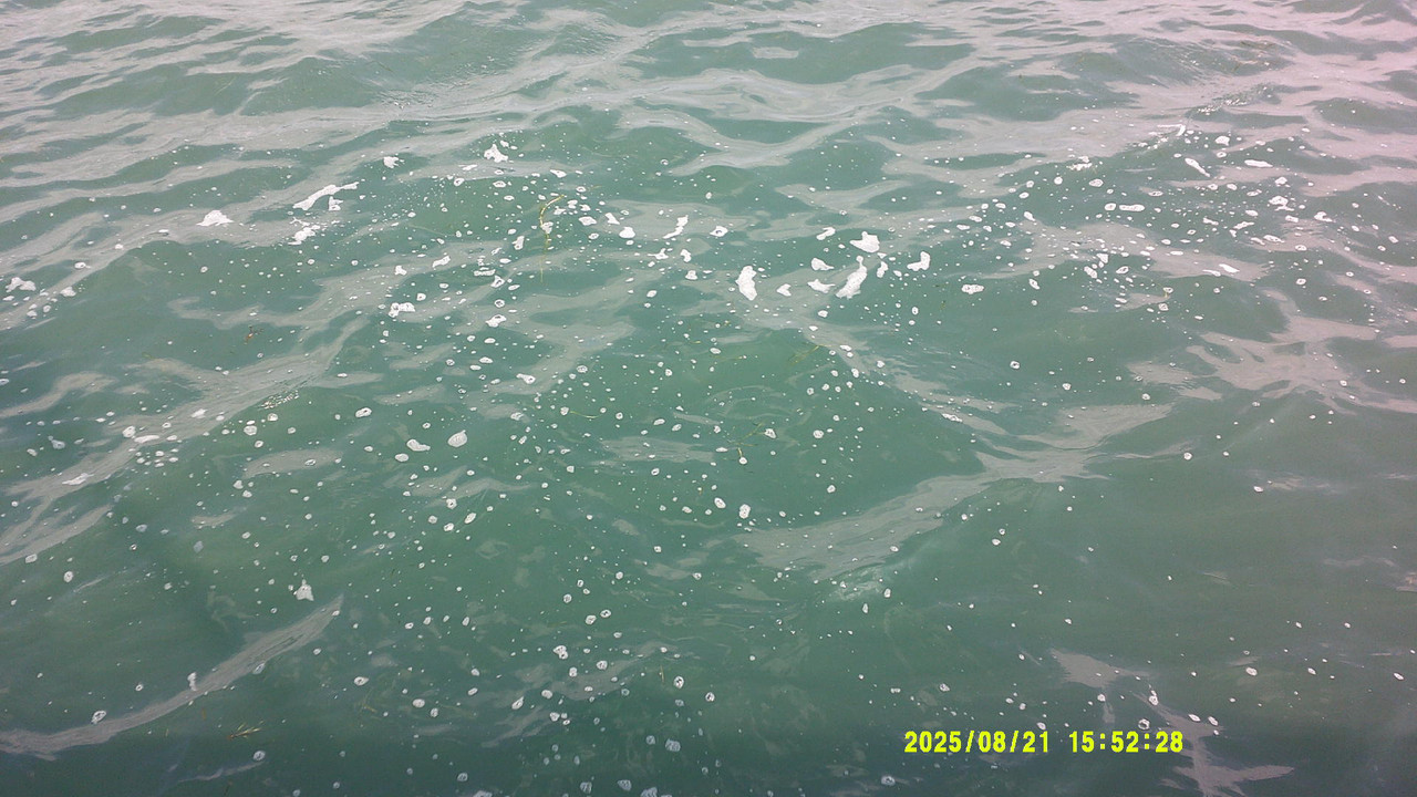 a green gradient