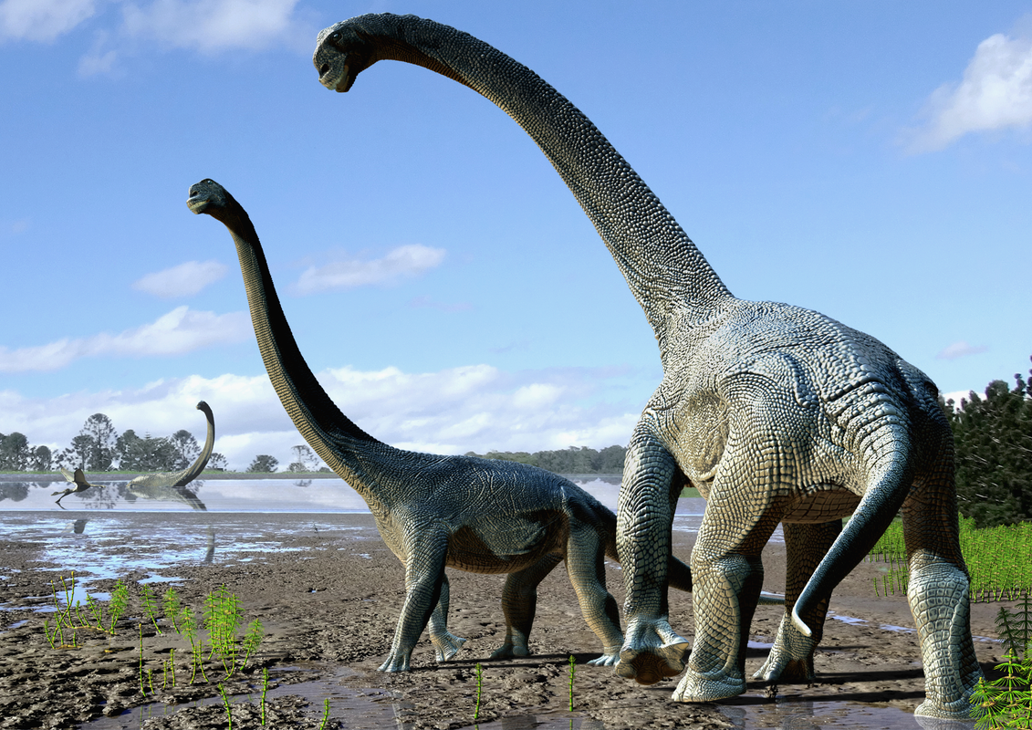 Antarctica Things in Dinosaur Evolution