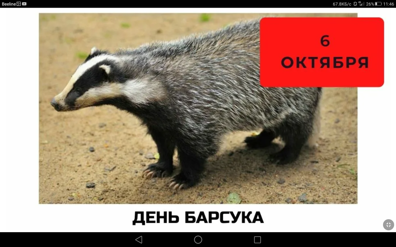 Screenshot_2023-10-06-11-46-49