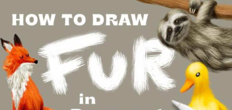 How to Draw Fur in Procreate with Custom and Built-In Brushes