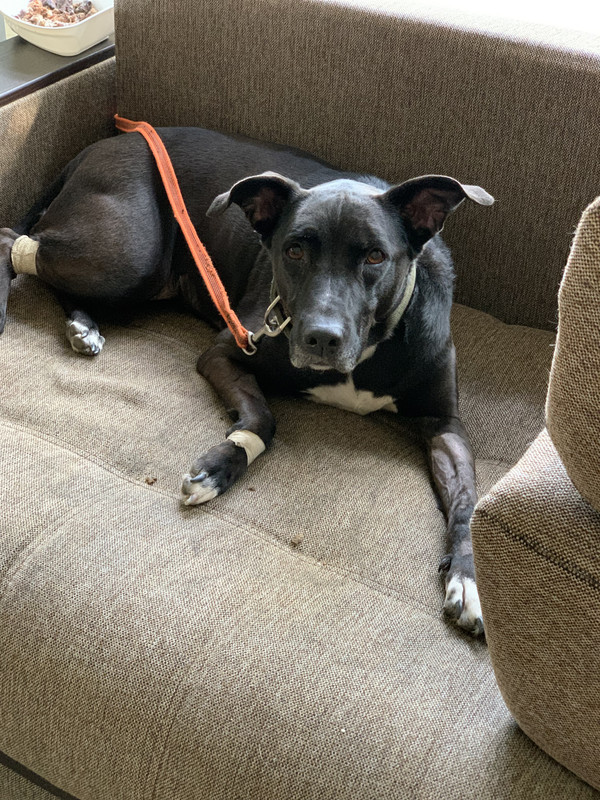 42405D4A-6CC0-4601-895B-797AF080EDF3