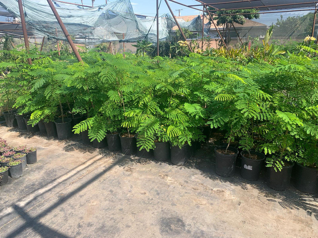 6DD9CF6D-F439-4F74-8C5F-749462DBEA91