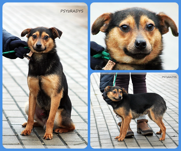 BeFunky-collage (28)