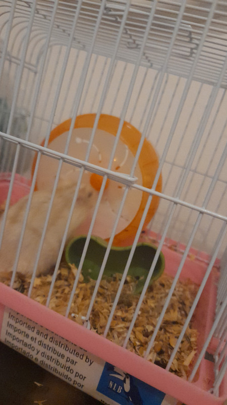 IMG-20210927-WA0179