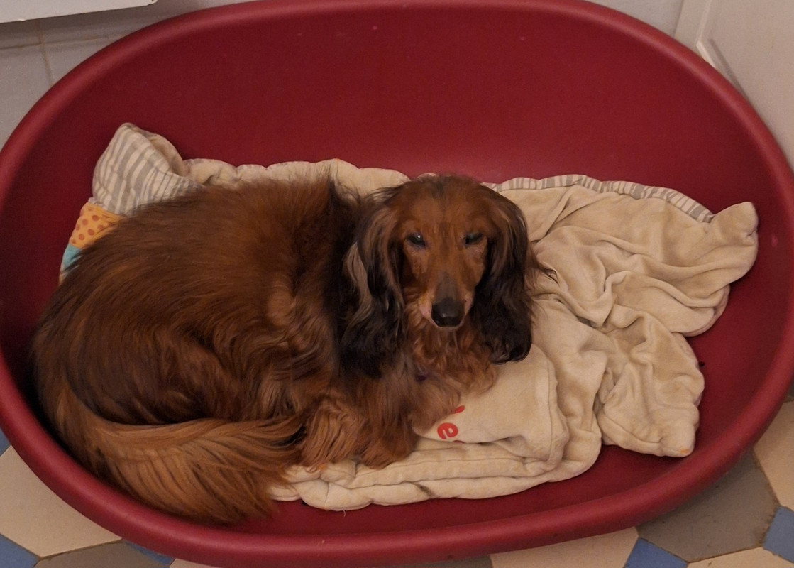 [Image: 20250209-195522.jpg]