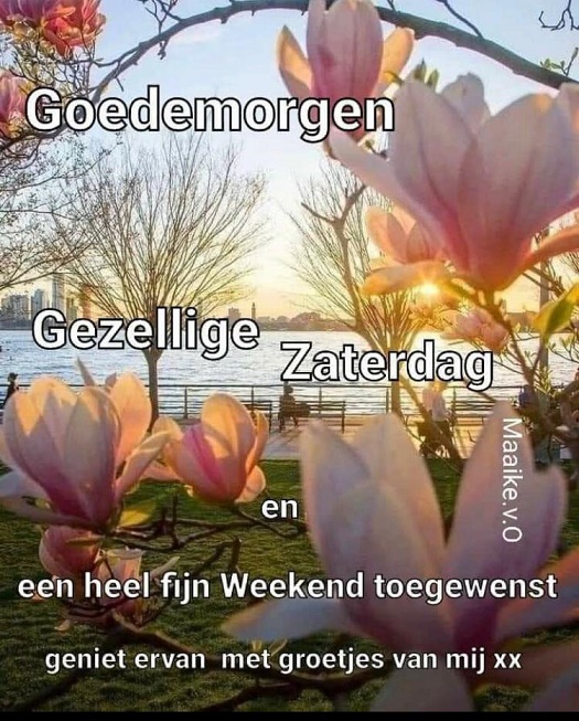 Gezellige-zaterdag
