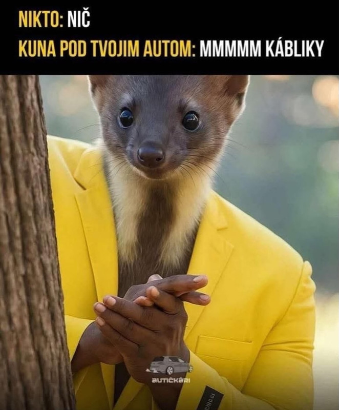 Screenshot-2025-11-20-00-22-12-780-edit-com-instagram-android