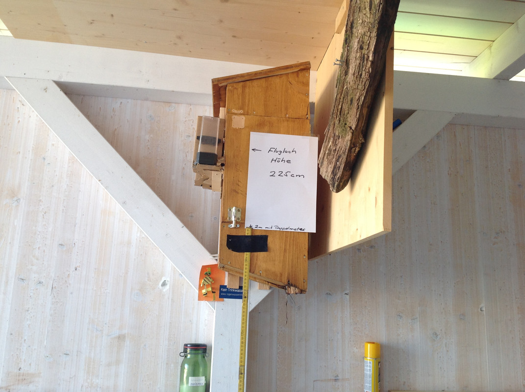 Situationsbild Kasten VCG 2015 (25)