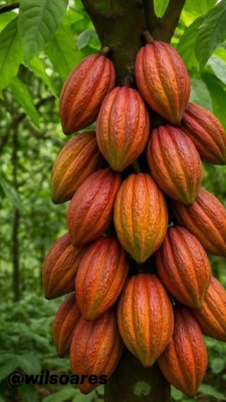 download 2025 12 23T081454 886