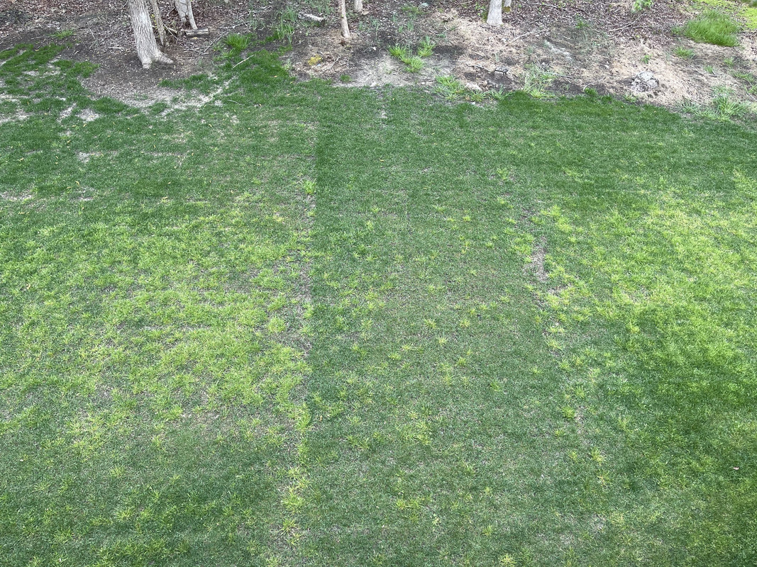 18F69D96-0F66-4598-8761-5EA70129EC26