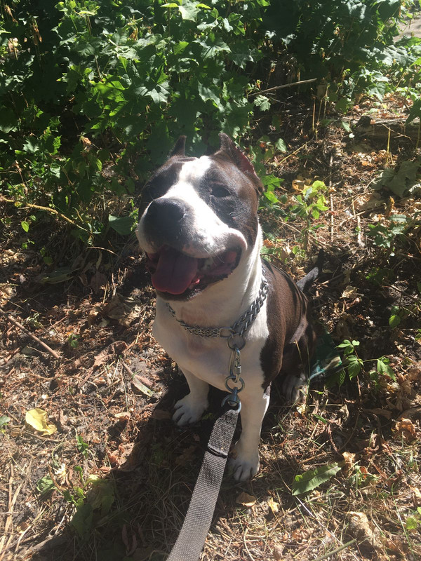 EAFC923B-F909-4607-A472-C88B845AEB0D