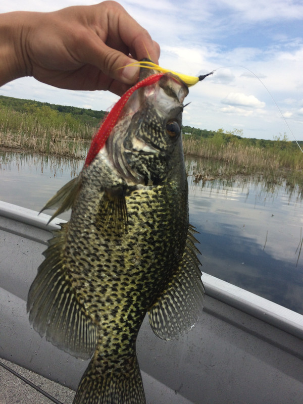 DA3AC472-5D3C-4F0C-9676-B2D11524E51D