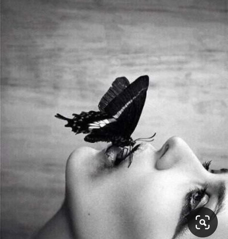 Screenshot_20231025_161043_Pinterest