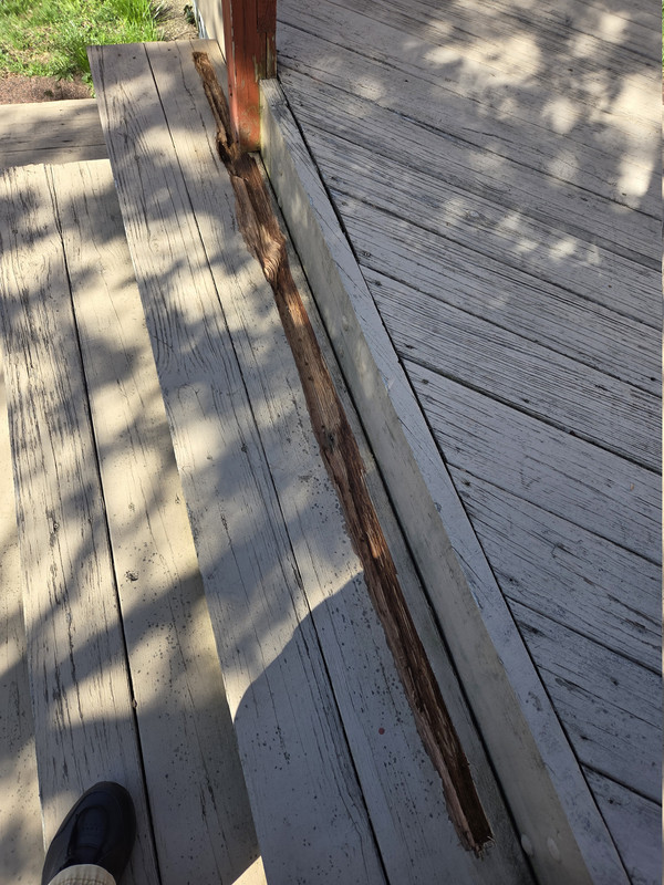 Rot Deck Step clean out 20260407e