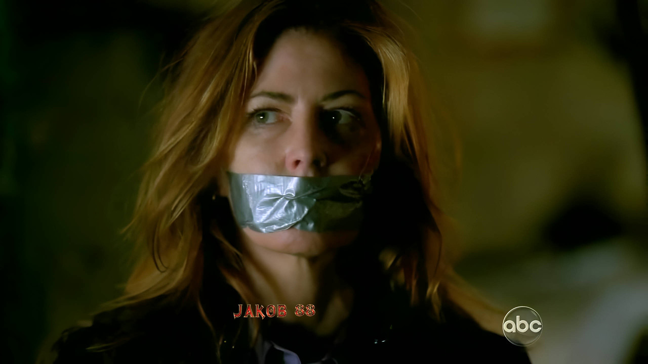 Dana Delany - Castle S02E18