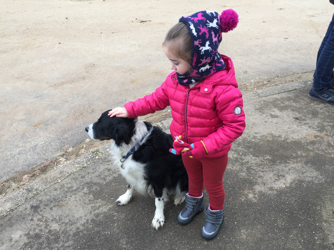 DD0CA805-CEBE-49E6-88A7-C797A1A3B10C