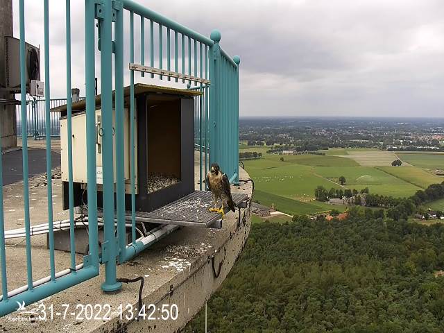 campics © VWGGemert vanaf 1 juli 2022 - Pagina 9 10