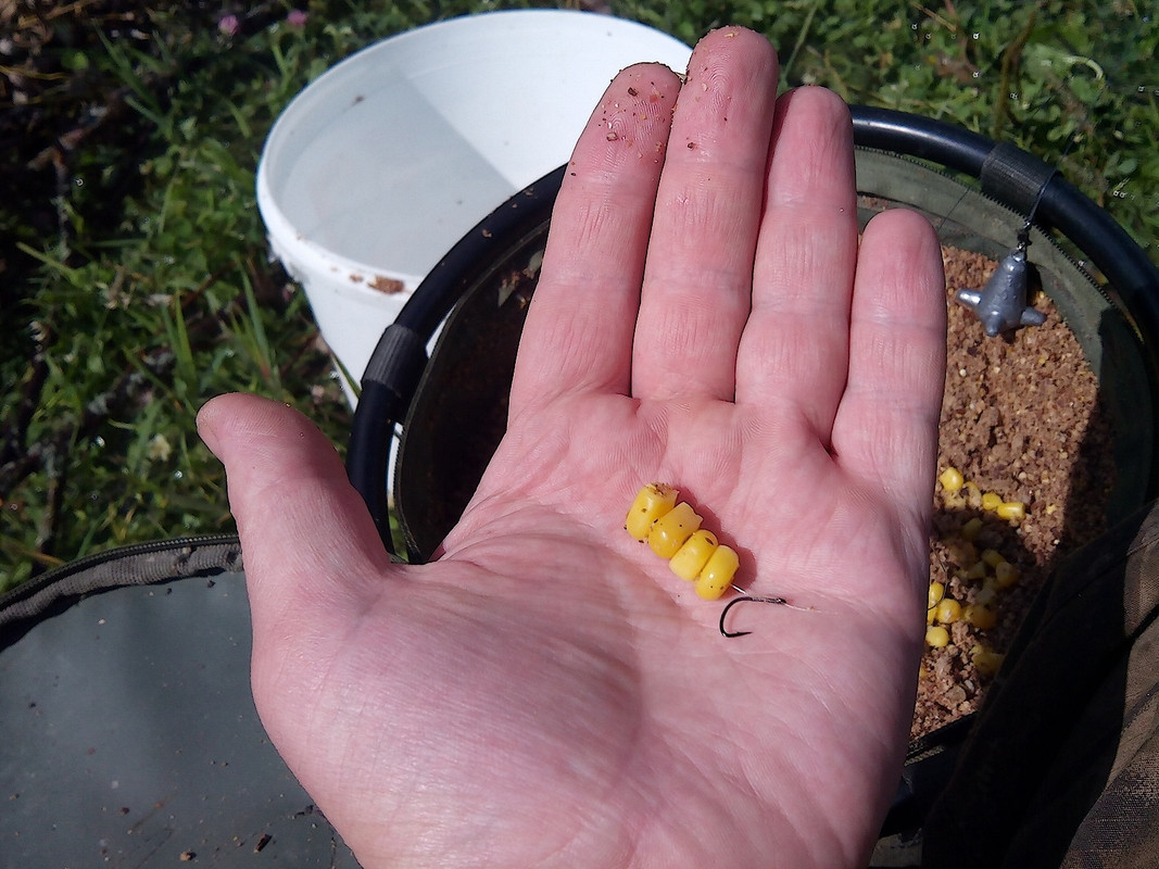 Верхняя Кама 18.07.15 03