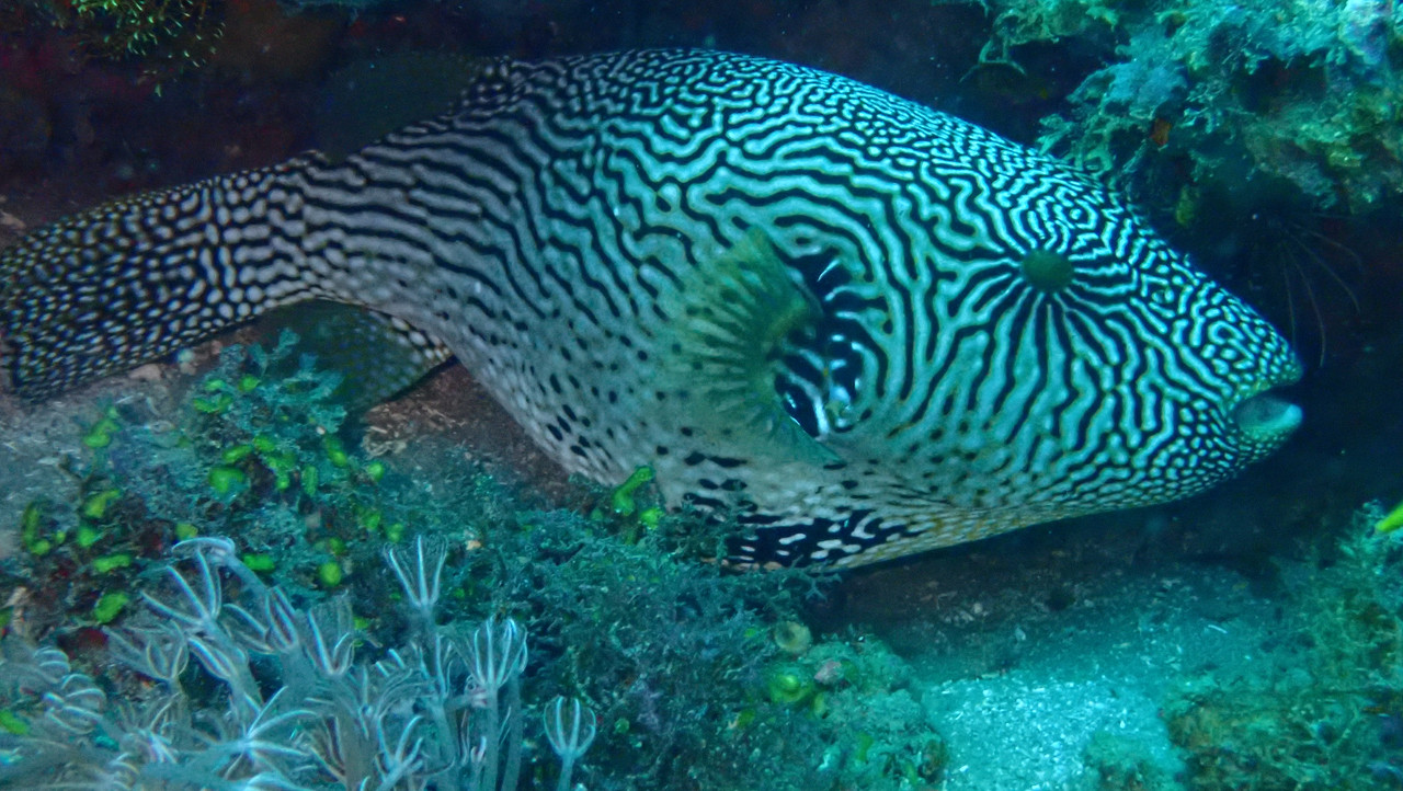 6822062B-C58E-4911-BB04-DF3A0F18CF3E