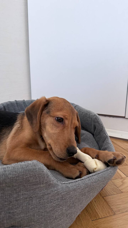 IMG 20260221 134130 932