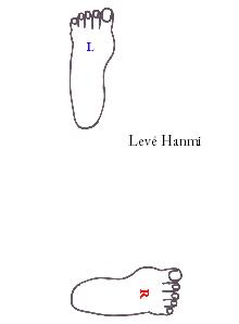 Levé Hanmi