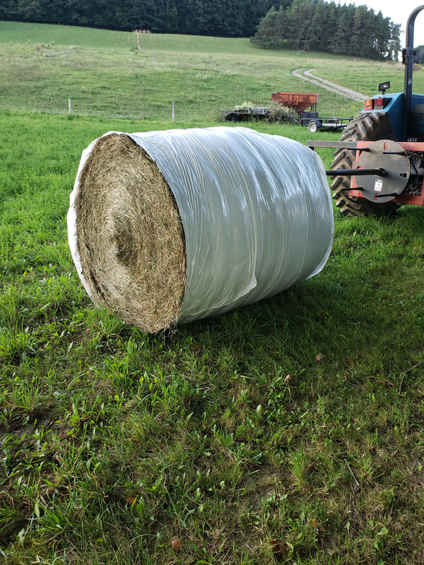 wrap