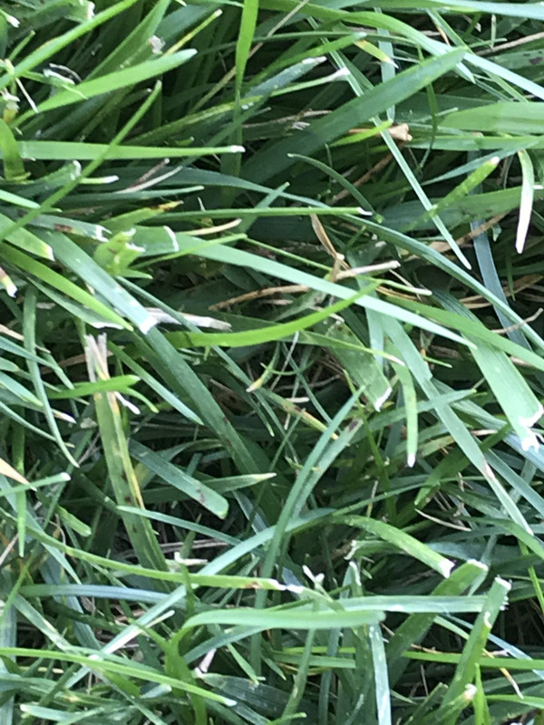 BB9BF05B-2752-43A5-A9B9-D0F846122ABE