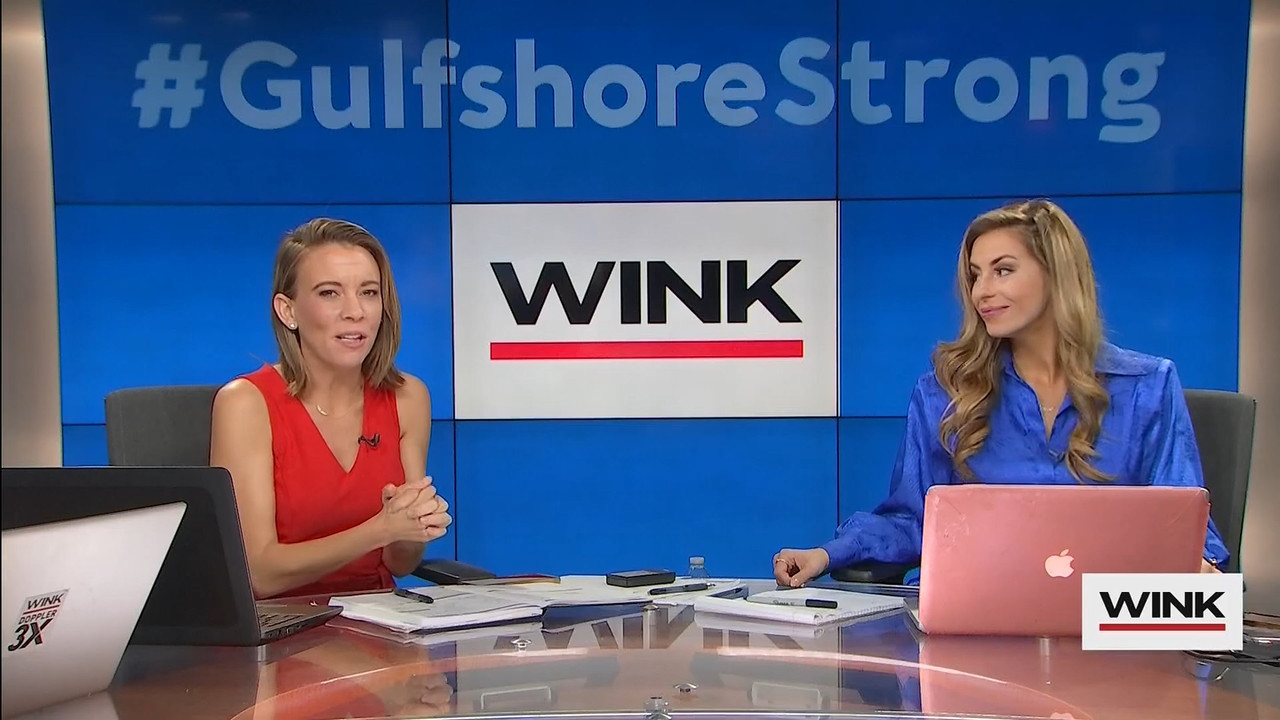10.09 - 13.00.00 - WINK News at 8 00AM  ᴺᵉʷ..ts_snapshot_00.19.46.231