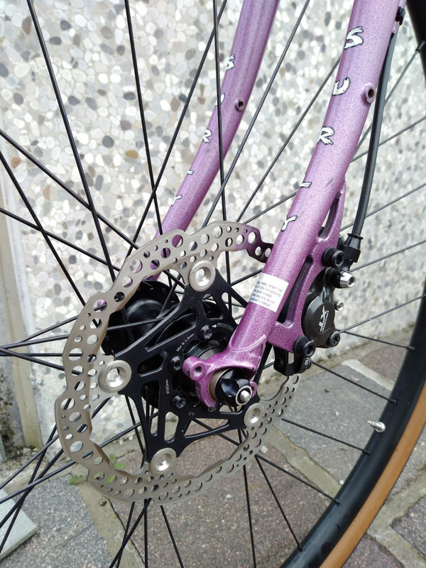 IMG-20201112-082634743.jpg