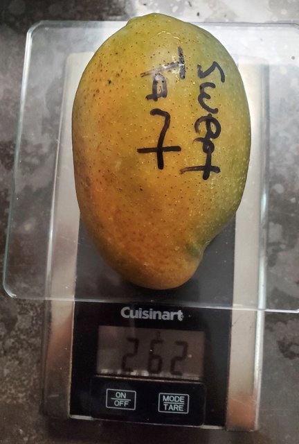 D1DF2257-89E9-4D8F-942C-38054CF744ED