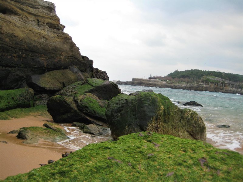 Santander-31-1-2011 - Cantabria y sus pueblos-2011 (32)