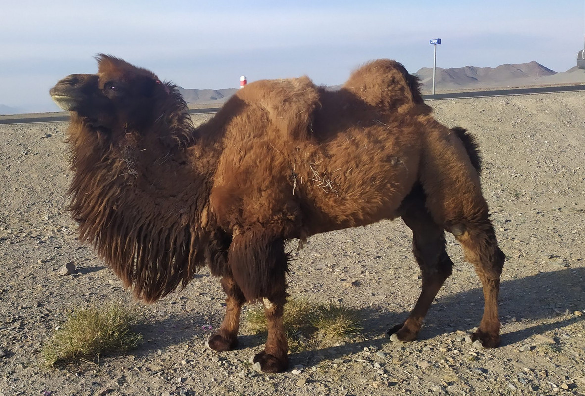 IMG-36f291a059b62885ec0dcf7040a54831-V