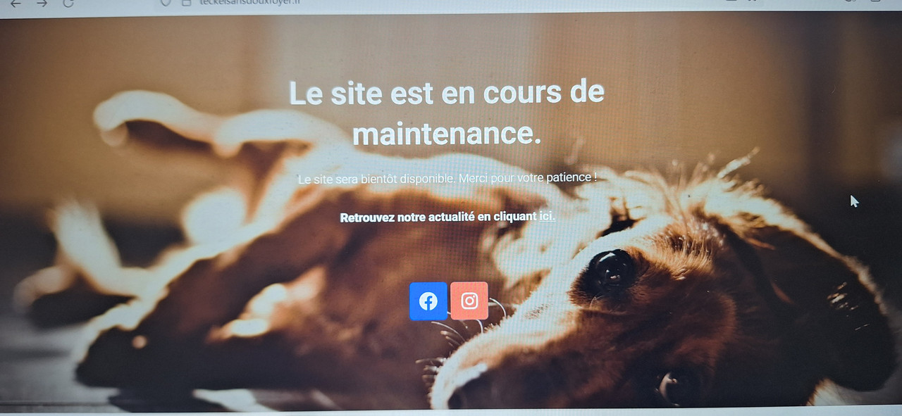 [Image: 20251008-170950.jpg]