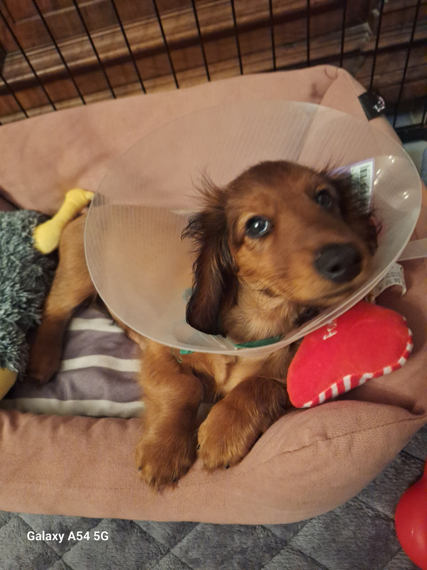 [Image: 20240915-212152.jpg]