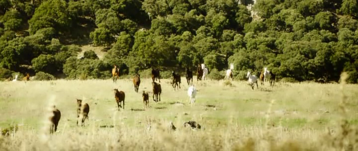 Windstorm-Ritorno-alle-origini-2017-BDRi