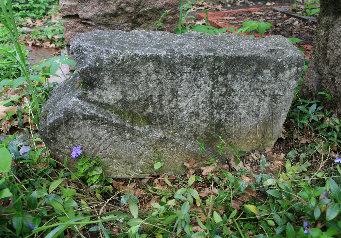 malashkin-si