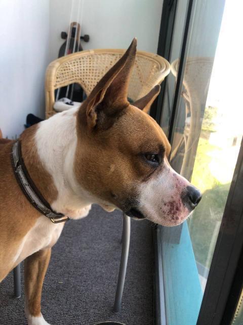 3C70577C-C810-4356-9245-A33562EC7FD0