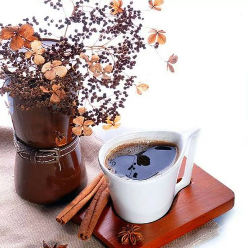 dobré ráno,káva a suchá květina...