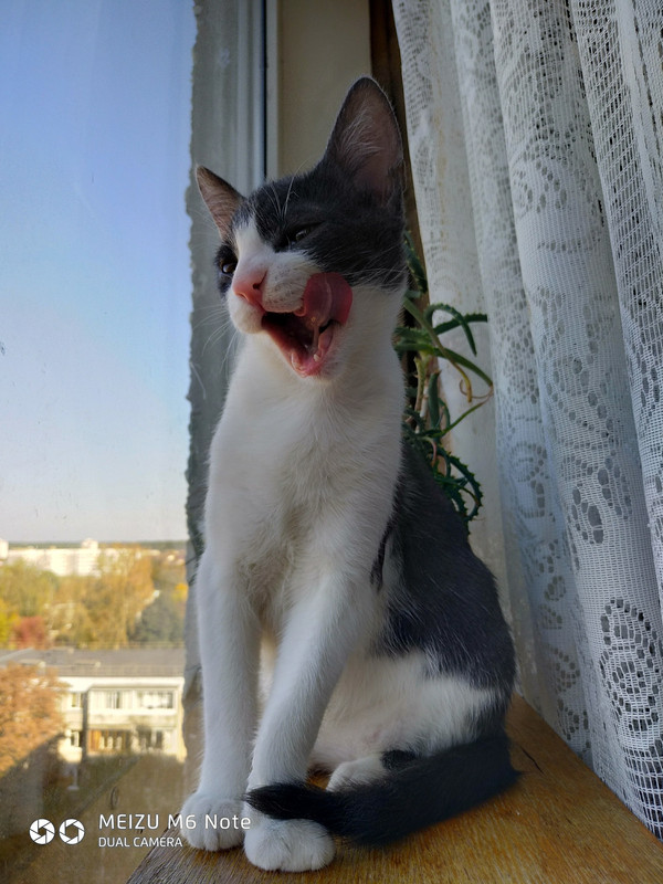 13D71187-3362-4ED3-B815-3FA746A8BE00