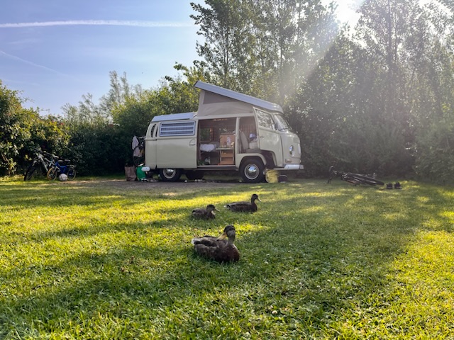 150322E9-6E1E-4994-ACFB-1A2ACC6C8C25