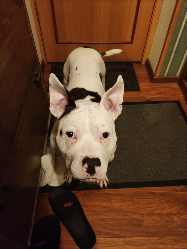 4E8D0E90-6AF4-4C54-8243-C8852C1833E5