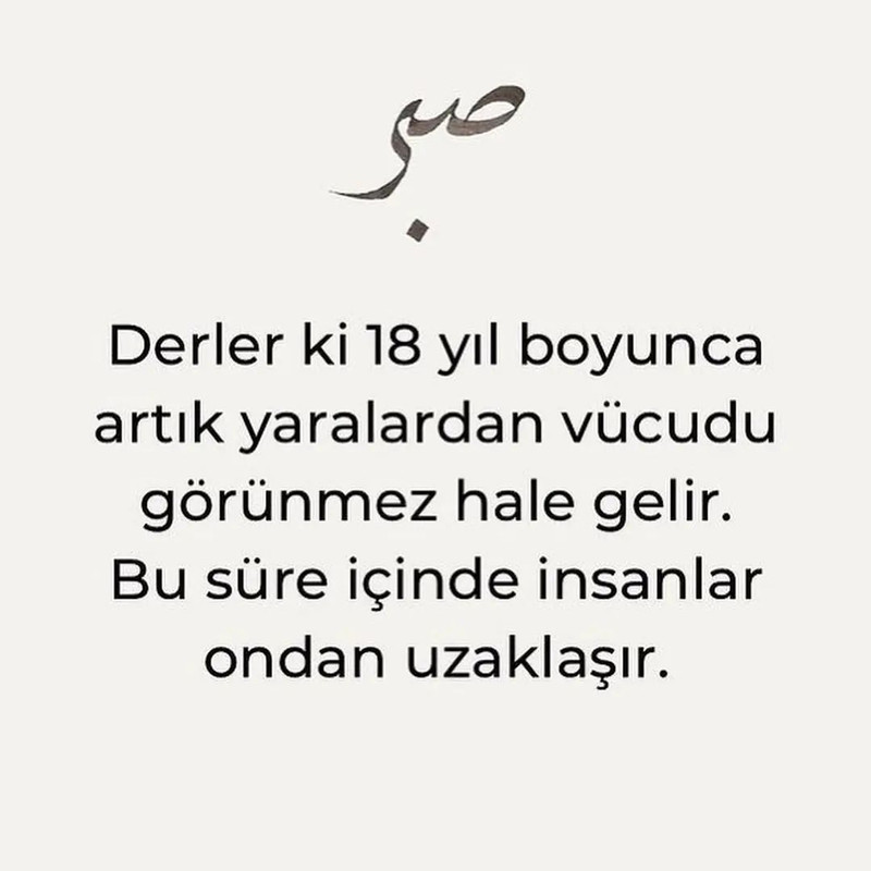 Snapinsta.app_1080_328172870_574706487567376_6810200418917061971_n