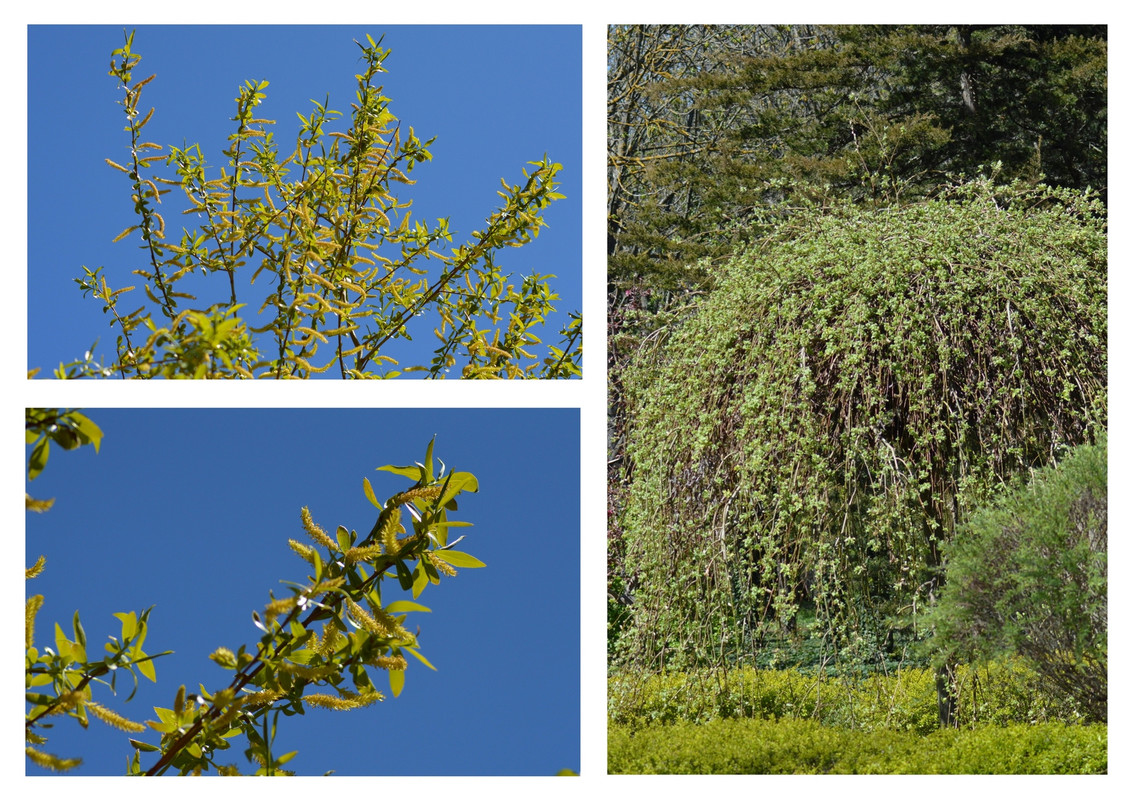 Новый коллаж.jpg 2