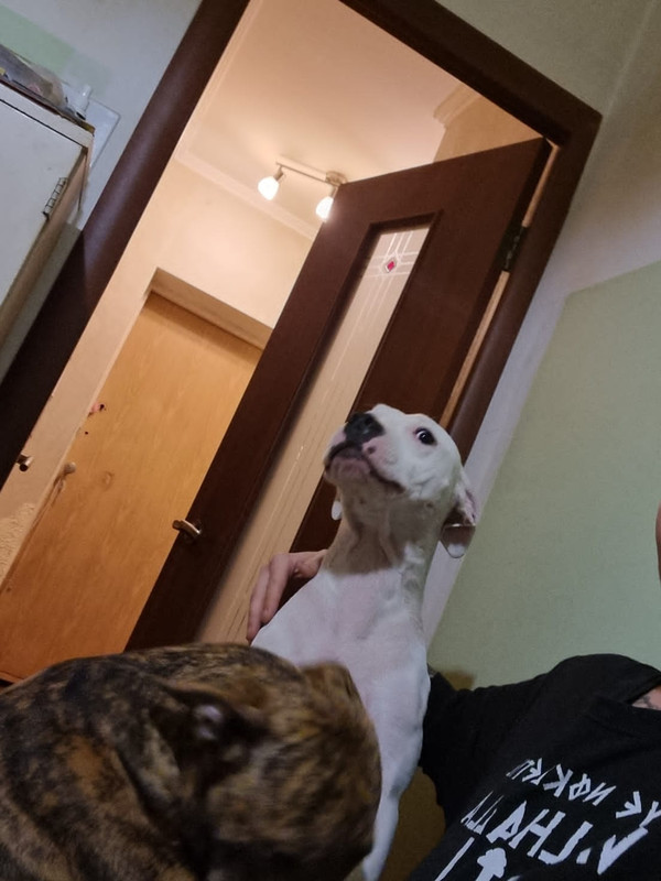 9BA3D9AC-98E0-420C-B1FE-223D52D6BA99