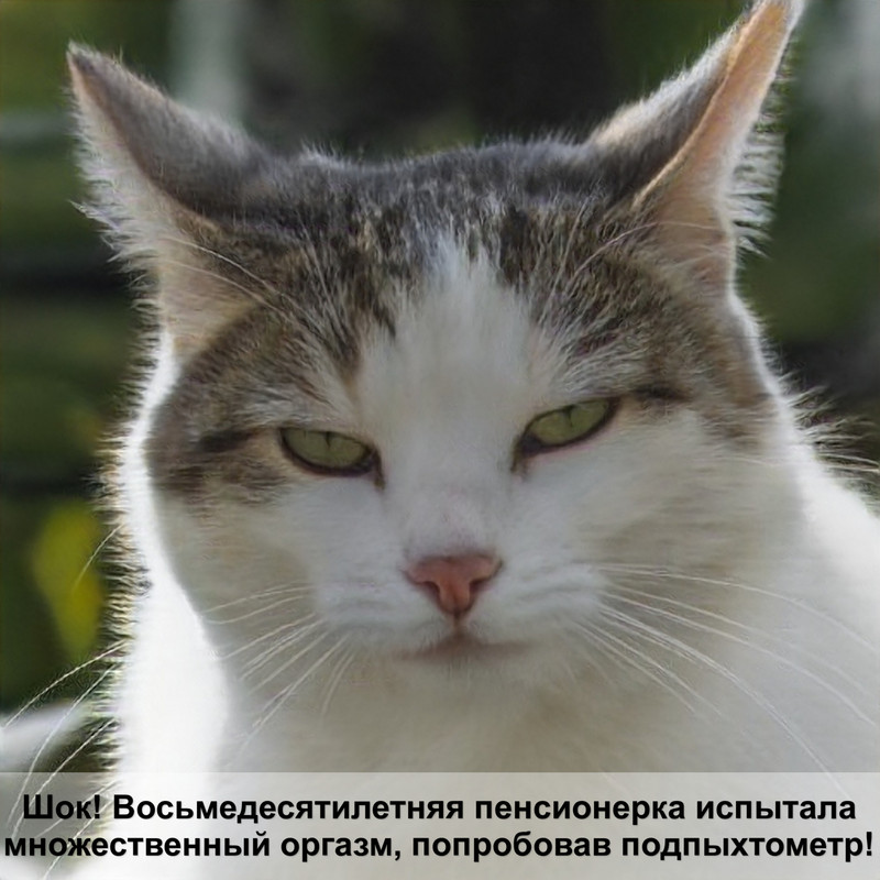 кошка теряет шерсть