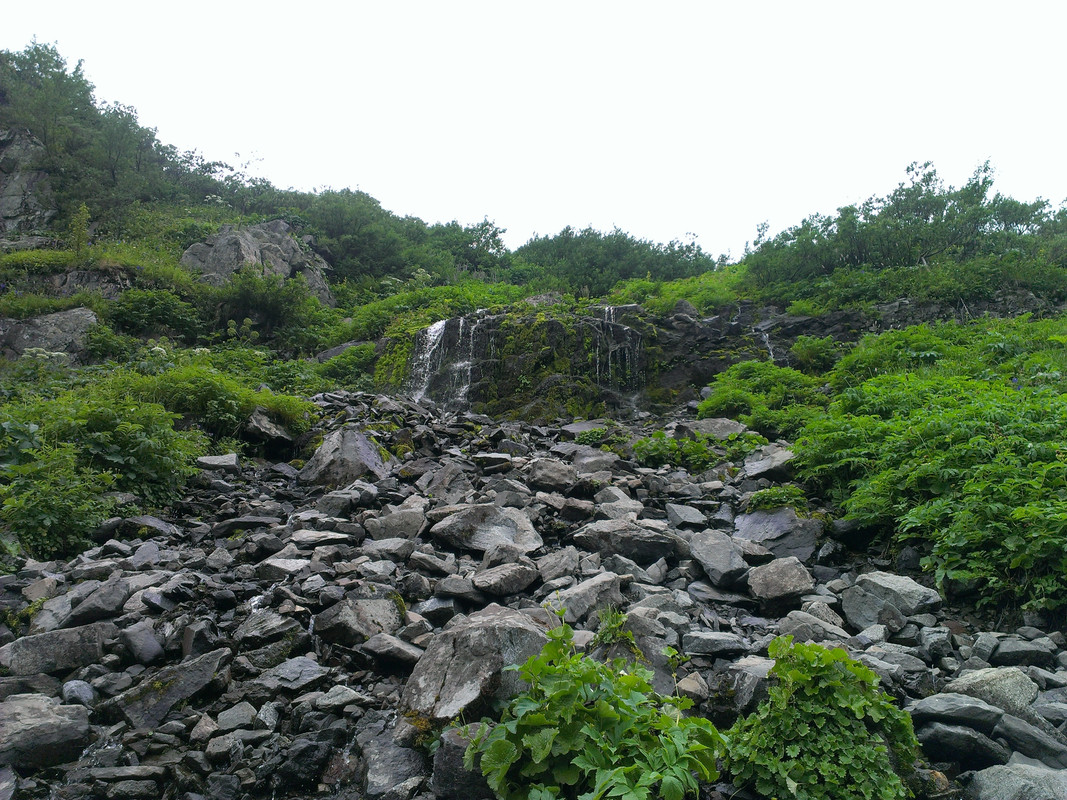 IMAG0505