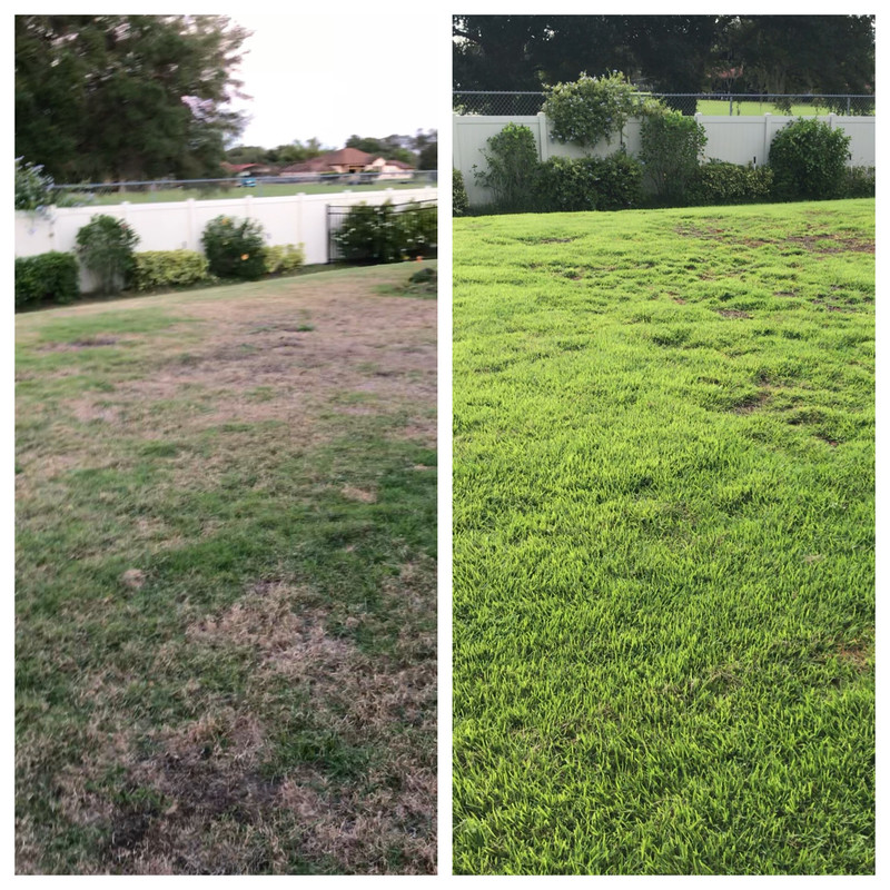 DC5846D6-9EEA-4C96-A969-D6838EBCF196